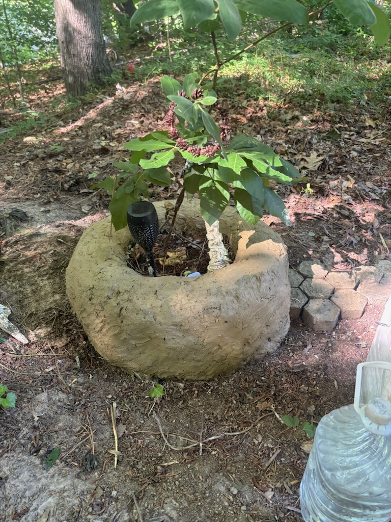 Repurposed tire planter rimmed in cob, built by Love-Leigh Hughes